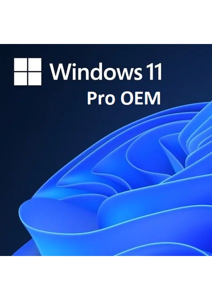 Windows 11 Pro Oem 64BIT Türkçe -FQC-10556