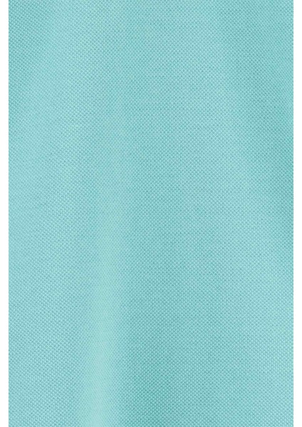 Küçük Erkek Çocuk Tshirt Mavi