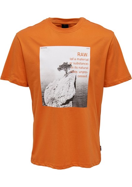 O Yaka Baskılı Turuncu Erkek T-Shirt 22025271_ONSPAUL Reg Photoprınt Ss