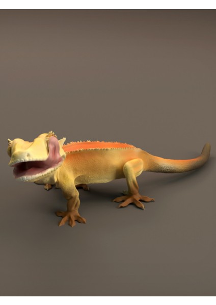 Kertenkele Figürü 2 20CM Dekorasyon-Hediyelik Ürün-Dekoratif Raf Ürünü-Hobi-Figür fiyatları