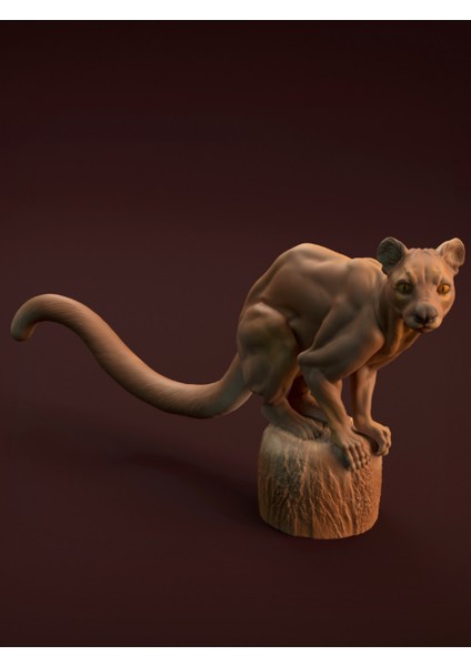 Fossa Figürü 20CM Dekorasyon-Hediyelik Ürün-Dekoratif Raf Ürünü-Hobi-Figür