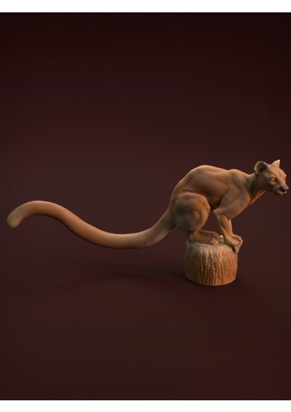 Fossa Figürü 20CM Dekorasyon-Hediyelik Ürün-Dekoratif Raf Ürünü-Hobi-Figür fiyatları