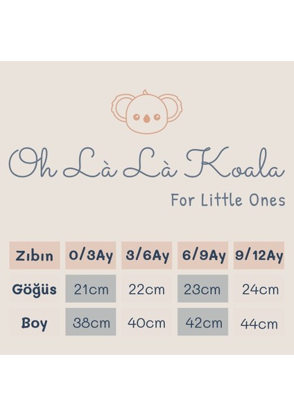 Ohlala Koala 3'lü Nakışlı Çıtçıtlı Badi - Zıbın