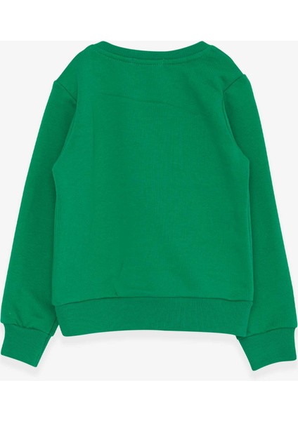 Erkek Çocuk Sweatshirt Yazı Baskılı 2-6 Yaş, Yeşil fiyatları
