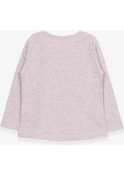 Kız Çocuk Uzun Kollu Tişört Güpürlü 2-6 Yaş, Bej Melanj fiyatları