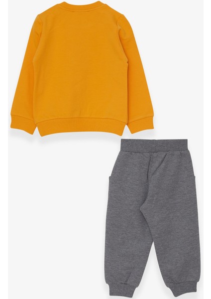 Erkek Çocuk Eşofman Takımı Dinozor Baskılı 1-4 Yaş, Sarı fiyatları