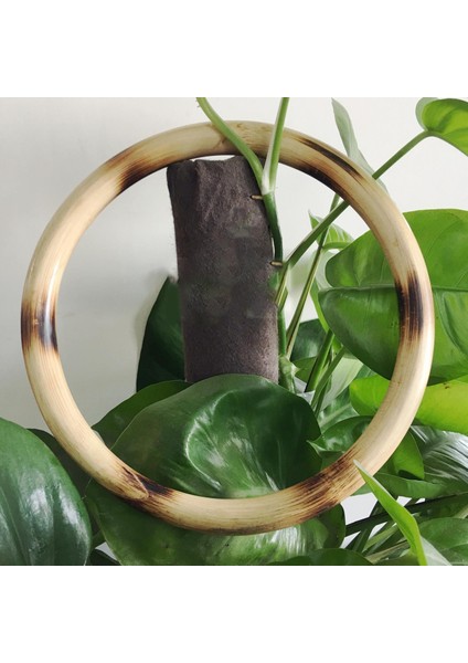 Kanat Chun Rattan Yapışkan El Güç Eğitimi 8.5 ‘’ Kung Fu (Yurt Dışından)