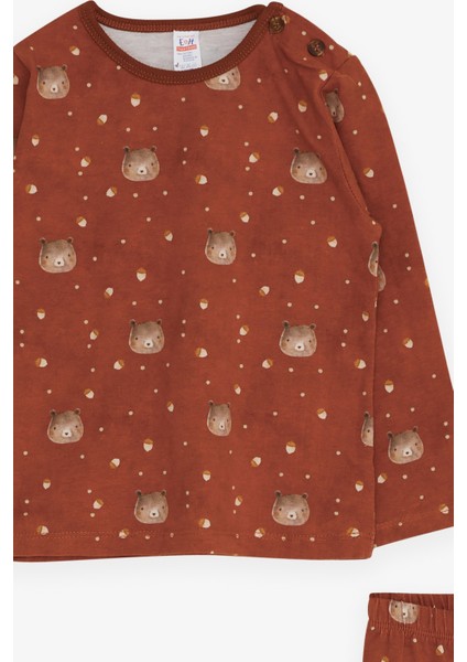 Erkek Bebek Pijama Takımı Ayıcık Desenli 9 Ay-3 Yaş, Kahverengi modelleri