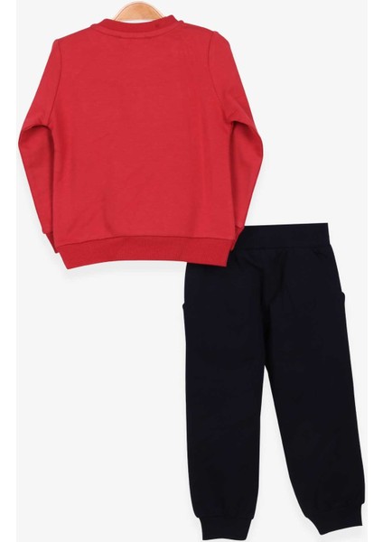 Erkek Çocuk Eşofman Takımı Ayı Baskılı 1-4 Yaş, Kiremit fiyatları