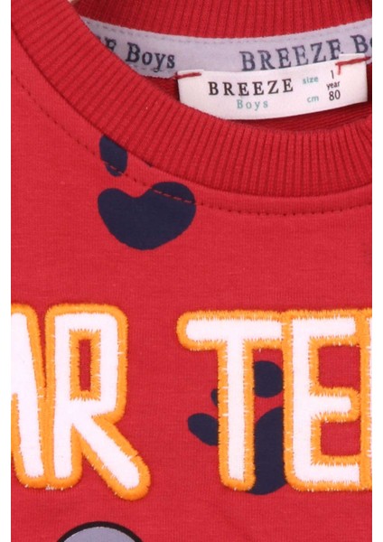 Erkek Çocuk Eşofman Takımı Ayı Baskılı 1-4 Yaş, Kiremit fırsatları