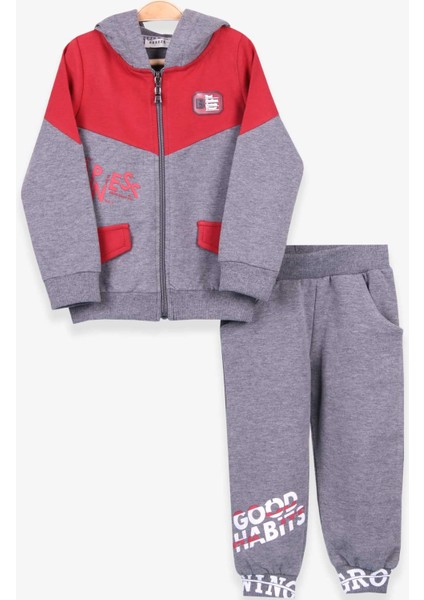 Erkek Çocuk Eşofman Takımı Baskılı Kapüşonlu 1.5-5 Yaş, Gri Melanj