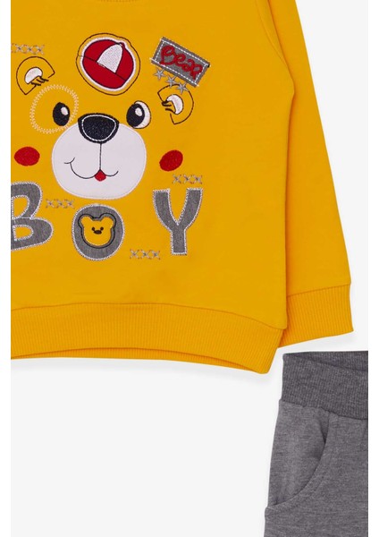 Erkek Çocuk Eşofman Takımı Ayıcık Figürlü 1-4 Yaş, Sarı modelleri