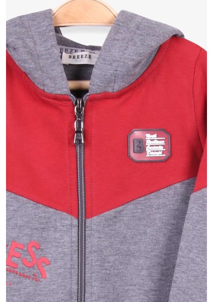 Erkek Çocuk Eşofman Takımı Baskılı Kapüşonlu 1.5-5 Yaş, Gri Melanj modelleri