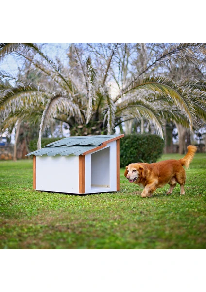 Standart Ahşap Köpek Kulübesi