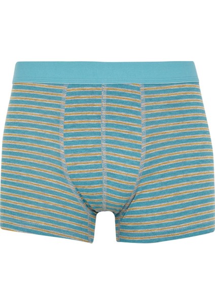 Regular Fit 3'lü Boxer W9667AZ22SP