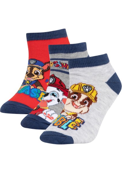 Erkek Çocuk PAW Patrol Pamuklu 3'lü Patik Çorap T9980A6NS