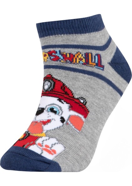 Erkek Çocuk PAW Patrol Pamuklu 3'lü Patik Çorap T9980A6NS