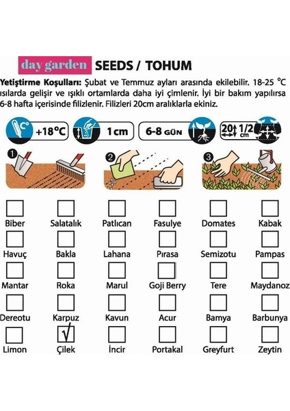 100 5 Farklı Karışık Renk Çilek Tohumu + 10 Adet Kırmızı Gül Çiçek Tohumu