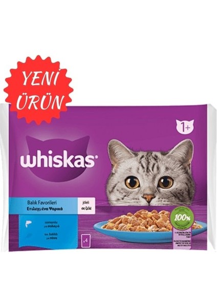 Ctn Whiskas Pure Delight Balık Favorileri Somonlu Ton Balıklı 4X85 gr (13 Adet)