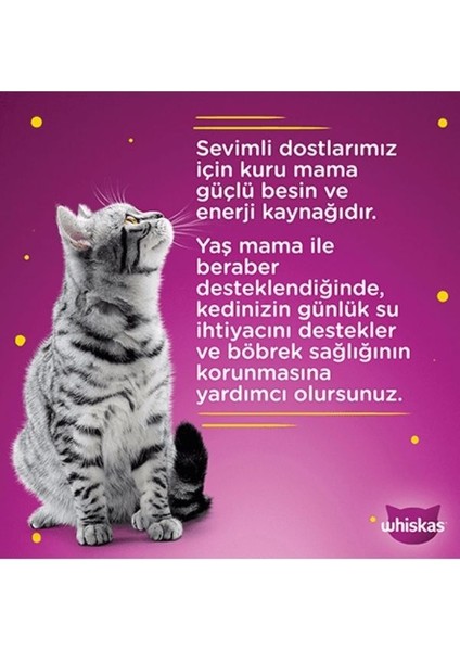 Pure Delight Dilimli Seçim Tavuklu ve Somonlu Yaş Mama 4X85 gr (13 Adet)