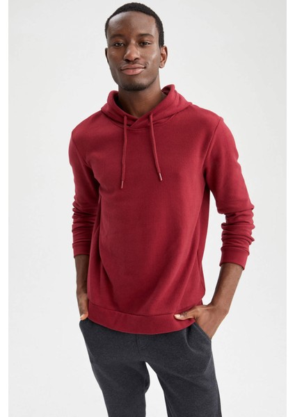 Regular Fit Kapüşonlu Basic Sweatshirt S9052AZ21AU