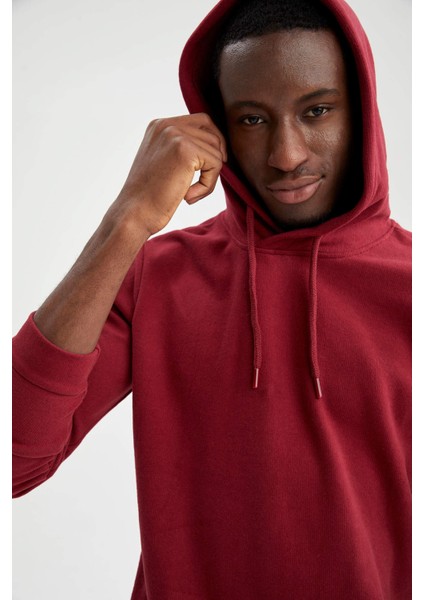 Regular Fit Kapüşonlu Basic Sweatshirt S9052AZ21AU