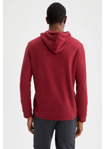 Regular Fit Kapüşonlu Basic Sweatshirt S9052AZ21AU