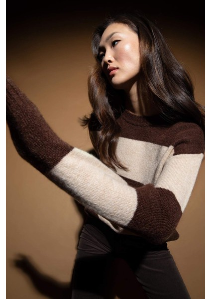 Regular Fit Bisiklet Yaka Kazak X7885AZ22WN