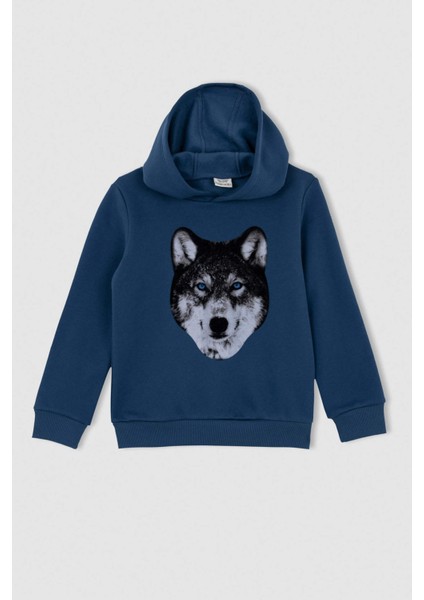 Erkek Çocuk Kapüşonlu Sweatshirt S2375A622WN indirimleri