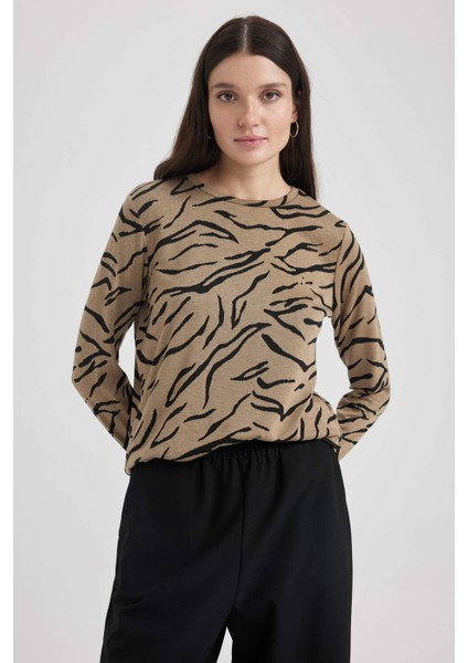 Traditional Regular Fit Bisiklet Yaka Uzun Kollu Tişört Z1502AZ22AU