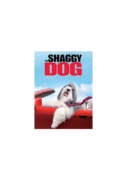 Shaggy Dog (Bak Şu Köpeğe) (Dvd)