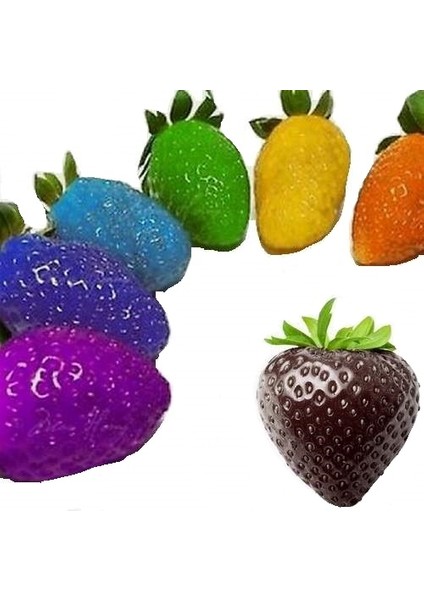 25 Adet Japon Nara Karışık Renk Çilek Tohumu + 10 Adet K.renk Lale Çiçek Tohumu