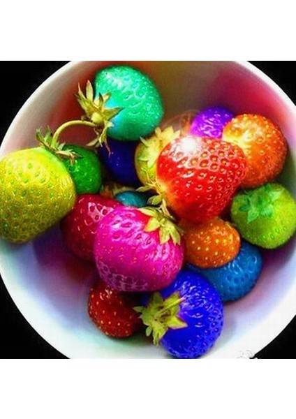 50 Adet Japon Nara Karışık Renk Çilek Tohumu + 10 Adet K.renk Papatya Çiçek Tohumu