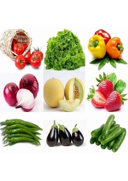 25 Adet Japon Nara Karışık Renk Çilek Tohumu + 10 Adet K.renk Papatya Çiçek Tohumu fiyatları