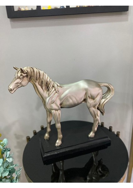 Dekoratif At Biblo Kaideli fiyatları