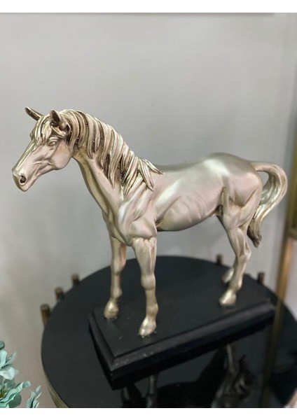 Dekoratif At Biblo Kaideli modelleri