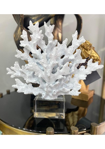 Krıstal Kaideli Mercan