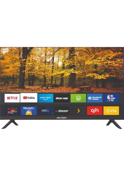 B224000 40" 102 Ekran Uydu Alıcılı Full HD VİDAA Smart LED TV (Çerçevesiz)