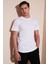 % 100 Pamuk Regular Fit Bisiklet Yaka T Shirt Erkek T Shirt 5902511 1