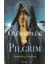 Ölümsüzlük Ve Pilgrim - Timothy Findley 1