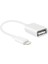 IPAD IPHONE LIGHTNING OTG ADAPTÖR (FLASH BELLEK MOUSE KLAVYE BAĞLAMAK İÇİN) 1