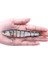 Sahte Balık Yemi 14 cm 26 gr Rapala Suni Yem 3