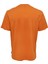 O Yaka Baskılı Turuncu Erkek T-Shirt 22025271_ONSPAUL Reg Photoprınt Ss 2