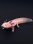 Aksolotl Figürü 20CM Dekorasyon-Hediyelik Ürün-Dekoratif Raf Ürünü-Hobi-Figür 1