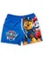 Erkek Çocuk File Ağ Şort Mayo Bel Bağlamalı Efsane Karakterler Baskılı Yeni Sezon Spider Man - Superman Paw Patrol 1