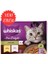 Pure Delight Dilimli Seçim Tavuklu ve Somonlu Yaş Mama 4X85 gr (13 Adet) 1
