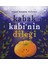 Kabak Kabi'nin Dileği - Ruşen Karataş Ünlenen 1