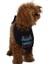 Proud Kedi Köpek Fuları Pet Bandanası 1