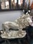 Aslan Biblo 2