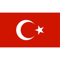 Sticker Fabrikası Türk Bayrağı Türkiye Bayrağı Sticker 11 x 6,5 cm Renkli